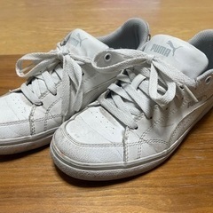 22.5cm ♪ PUMA ♪ ユニセックス スニーカー コート...