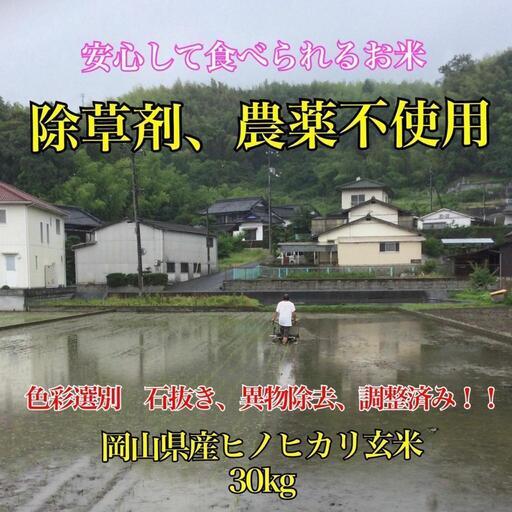 新米 岡山県産 農薬不使用 ヒノヒカリ 玄米 30kg