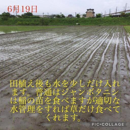 02753754_5