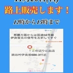 11/20(日) 闘魚　路上販売　読谷