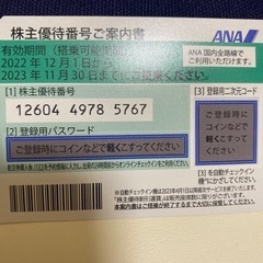 ANA株主優待券一式(23年11月30日まで)