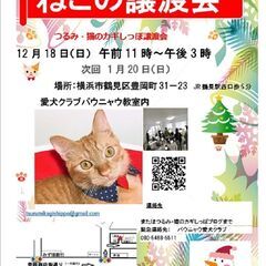 つるみ・猫のカギしっぽ譲渡会12月18日　 JR鶴見駅西口から徒...