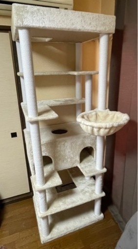 大型　キャットタワー