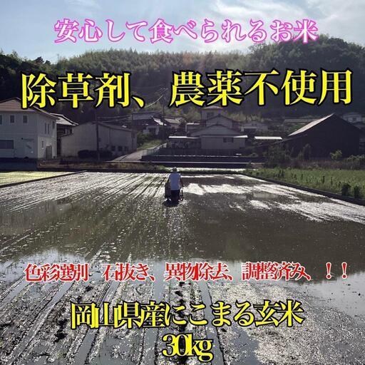 新米 岡山県産 農薬不使用 にこまる 玄米 30kg