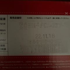 任天堂Switchヨドバシ11.18.購入