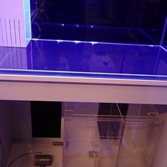 年末年始セール☆コトブキ☆レグラス900オーバーフロー水槽。使用2ヶ月