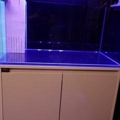 年末年始セール☆コトブキ☆レグラス900オーバーフロー水槽。使用2ヶ月