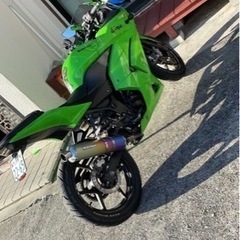 【ネット決済】ninja250r