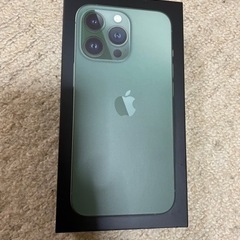 iPhone 13 Pro 256GB アルパイングリーン