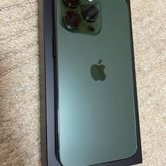 iPhone 13 Pro 256GB アルパイングリーン