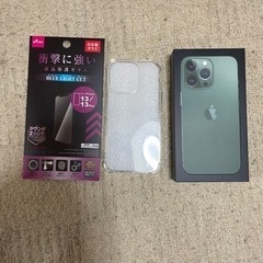 iPhone 13 Pro 256GB アルパイングリーン