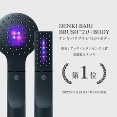 【ネット決済・配送可】DENKI BARI BRUSH（R） 2...