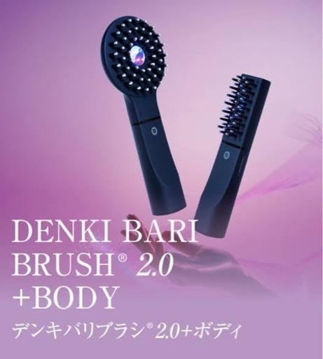 DENKI BARI BRUSH(R) 2.0 +BODY | noonanwaste.com