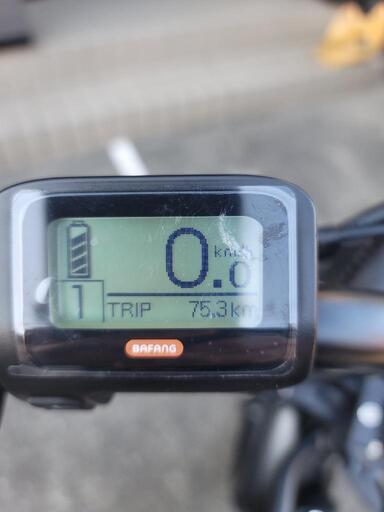 手渡し限定！BRONX ショップ ブロンクスバギー 電動アシストファットバイク 