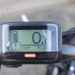 手渡し限定！BRONX ブロンクスバギー 電動アシストファットバイク