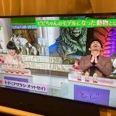 ★テレビ 49型★