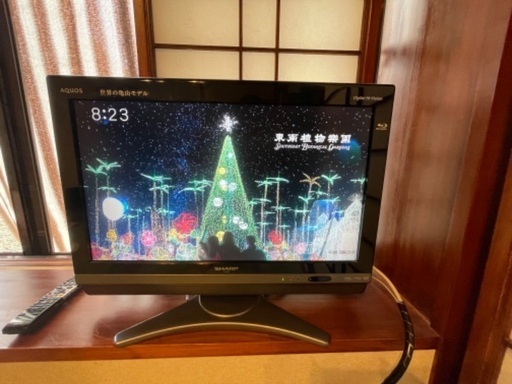 TV（内蔵型録画機能付き）