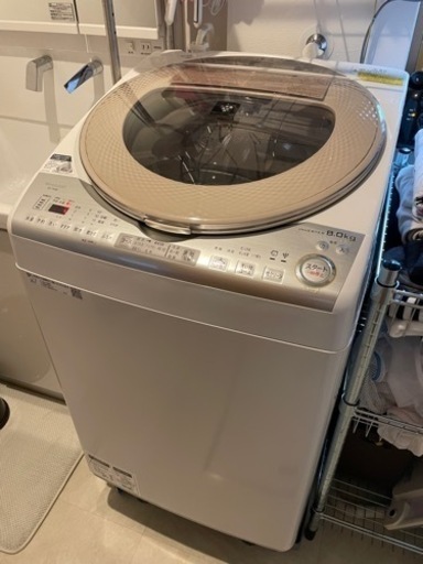 【おまけ付】 シャープ  ES-TX8B-N  SHARP  洗濯乾燥機　8kg 洗濯機