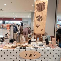 [11/20]日😸ふじもマルシェ出店致します🐾