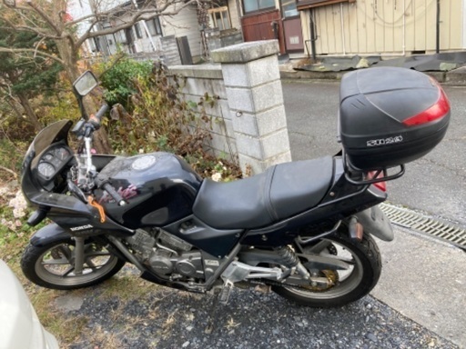 ゼルビス250 貴重