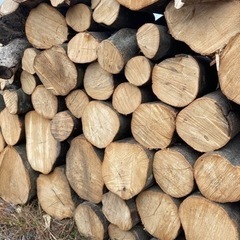 薪 丸太 玉切り 木材引き取ります。 伐採も可能です 薪ストーブ