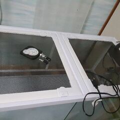 爬虫類鍵付きゲージ&ライト条件で15000円