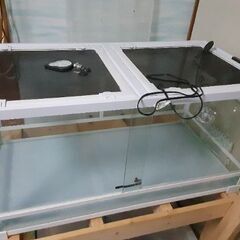 爬虫類鍵付きゲージ&ライト条件で15000円