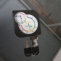 爬虫類鍵付きゲージ&ライト条件で15000円