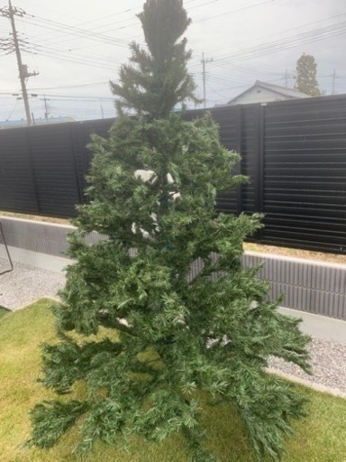 大きなクリスマスツリー　250cm