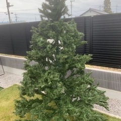 大きなクリスマスツリー　250cm