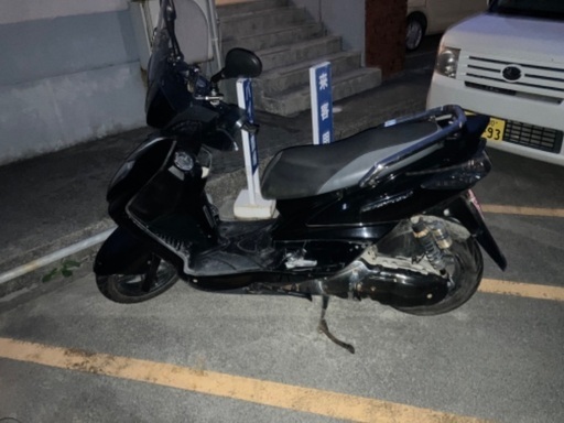 シグナス　2型