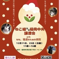 12/11ねこ組🐾福岡中譲渡会atなな。猫達のための病院