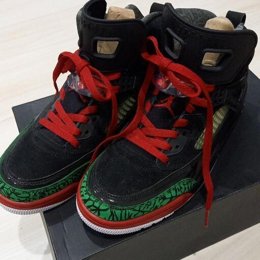 値下げ!!!NIKE\nJORDAN  SPIZIKE315371-026