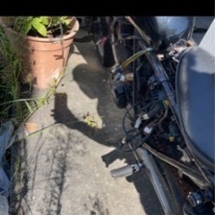 gb250 クラブマン　Honda