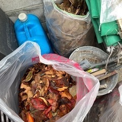 落ち葉　腐葉土