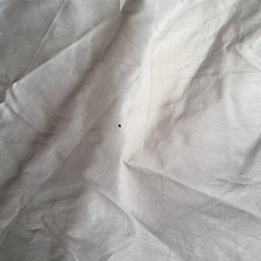 コールマン　ウェザーマスター 4S T.P.クレストColeman  テント