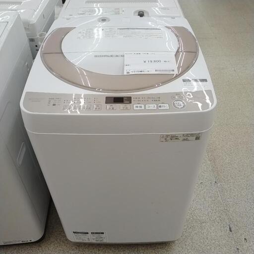 SHARP 洗濯機 2019年製 TJ361