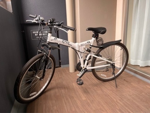 秀逸品 日本三代紬 本場 牛首紬 高級訪問着（正絹）TT1159