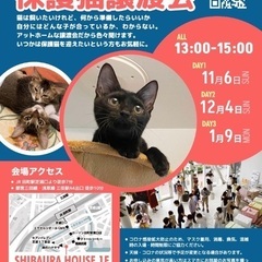 みなとねこ保護猫譲渡会@東京芝浦の画像