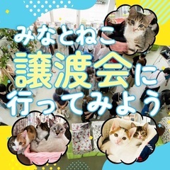 みなとねこ保護猫譲渡会@東京芝浦 − 東京都