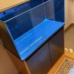 ①オールガラス水槽 水槽台 専用で出品