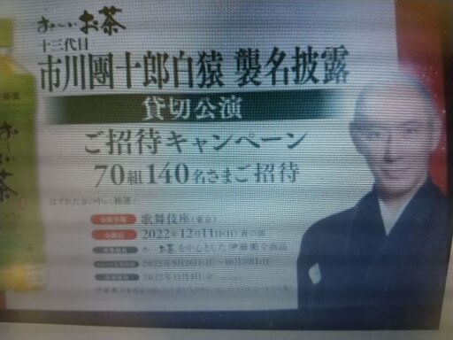 十三代目 市川團十郎白猿襲名披露 貸切公演ペアチケット 12/11(日)