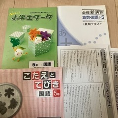 小学生ワーク　必修新演習　国語　算数　５年