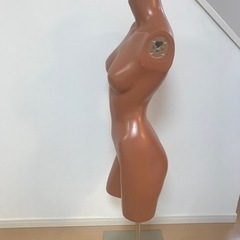 膝上トルソー新品　腕付き　高さ調整可能　レディース　マネキン