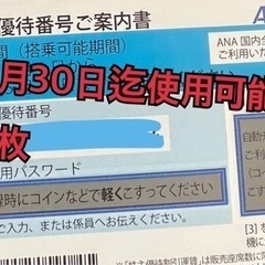 【ネット決済・配送可】ANA 株主優待券
