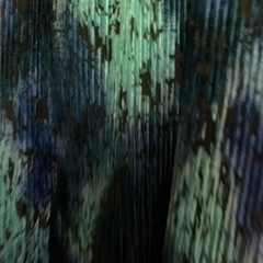 プリーズプリーズ