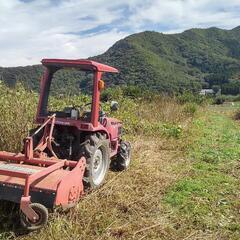 荒地の整備　山林整備　庭の整備　伐採　伐抜　長野