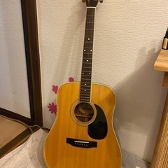 値下げ☆アコースティックギター☆Morris W-25