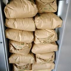 モチ米の玄米30kg（ヒヨクモチ）