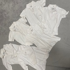 白ポロシャツ6枚